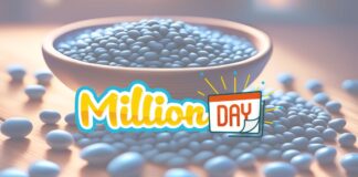 MillionDay, vinto 1 milione a Palazzolo sull’Oglio (Brescia): è il nono milionario del 2026 MillionDay